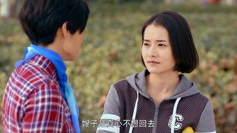福根进城电视剧在线观看,农村青年奋斗记