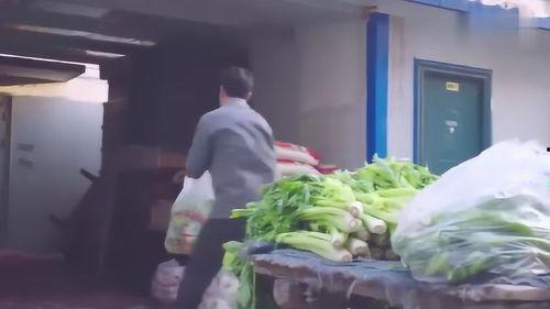 小伙的蔬菜店在线观看,小伙的在线蔬菜店创业传奇