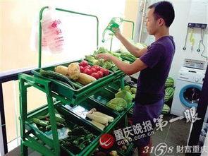小伙的蔬菜店在线观看,小伙的在线蔬菜店创业传奇