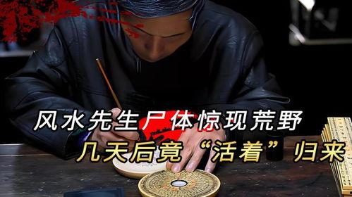 风水先生在线观看,探寻传统智慧与现代生活的完美融合