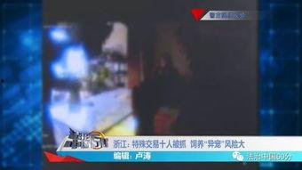 特殊交易韩国在线观看,在线观看揭秘
