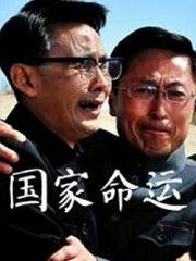 国家命运电视剧在线观看,揭秘历史转折点的传奇故事