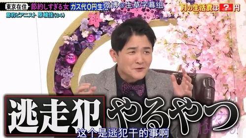 免费毛钱在线观看,揭秘热门影视资源免费获取之道