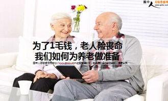 免费毛钱在线观看,揭秘热门影视资源免费获取之道