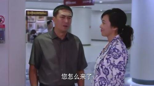 一主二仆电视剧全集在线观看,权谋与忠诚的较量全集在线观看攻略
