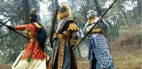 愈西游记在线观看,奇幻旅程，探寻心灵治愈之旅