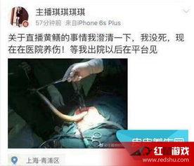 黄鳝门21分钟在线观看,黄鳝门在线观看全解析