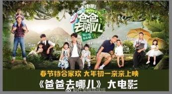 爸爸去哪儿大电影在线观看,重温亲子时光，共度欢乐时光
