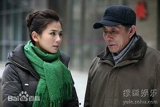 电视剧老有所依全集在线观看,温情演绎晚年生活，全集在线观看，共度温馨时光