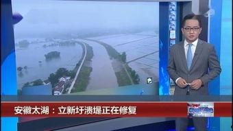 堤在线观看,揭秘中国水利工程的智慧守护