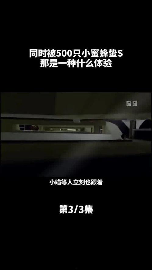 蜂蛰电影在线观看,揭秘神秘蜂群复仇的惊悚之旅