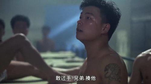 狱中龙无删减在线观看,揭秘真实监狱生活