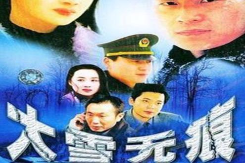 大雪无痕在线观看,探寻网络世界的神秘之旅