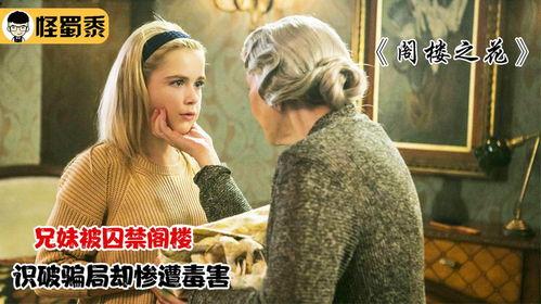 阁楼之花电影在线观看,揭秘尘封往事，探寻心灵救赎之旅