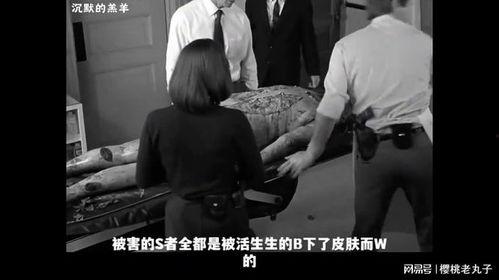 沉默的羔羊在线观看完整版,心理战与罪恶的较量