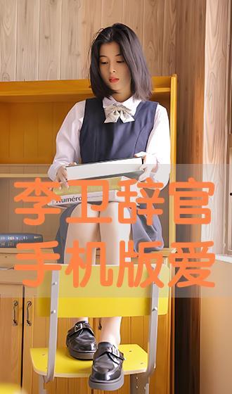 李卫辞官手机在线观看,手机在线观看，揭秘古代官场风云